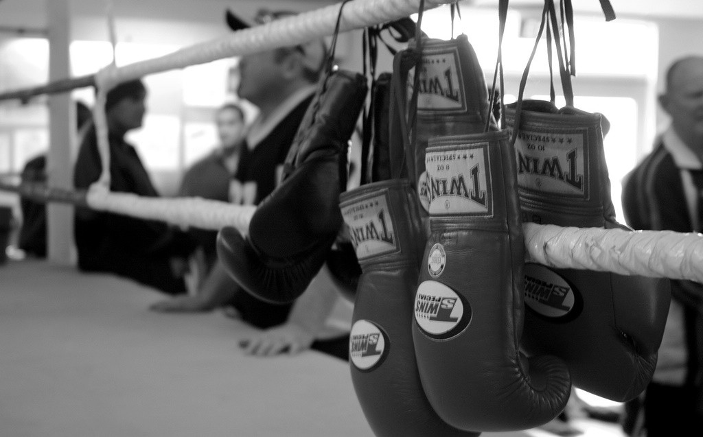 Boxing Gloves by Ari Bakker via Flickr